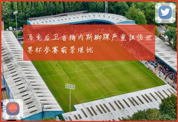 马竞后卫吉梅内斯脚踝严重扭伤世界杯参赛前景堪忧