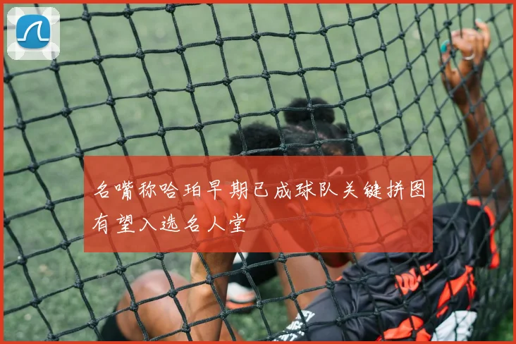 名嘴称哈珀早期已成球队关键拼图有望入选名人堂